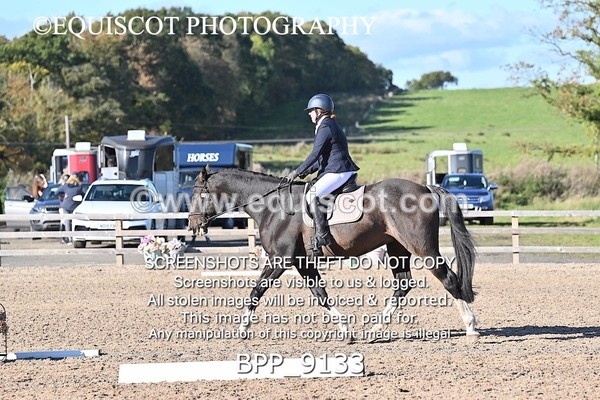 BPP_9133 - SHORT ARENA