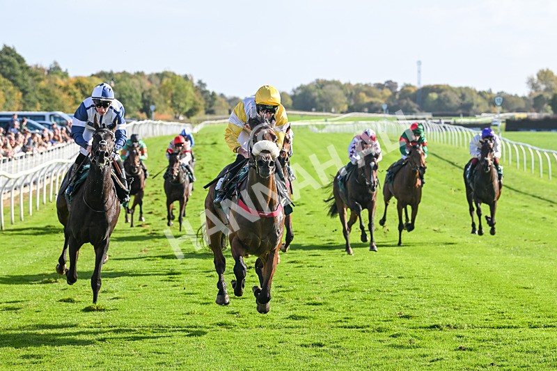 191024-Race 3-Jachin-4198 - Race 3