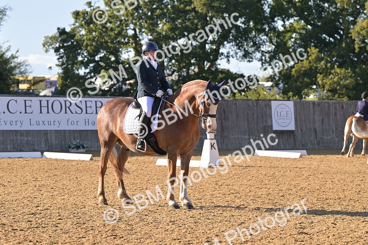 SBM_13004 - D3 - Small Tour Championship Intro 3