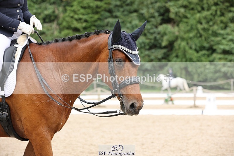 240721-155541-09833 - 119-Beth_Taylor-Willy_Wonker