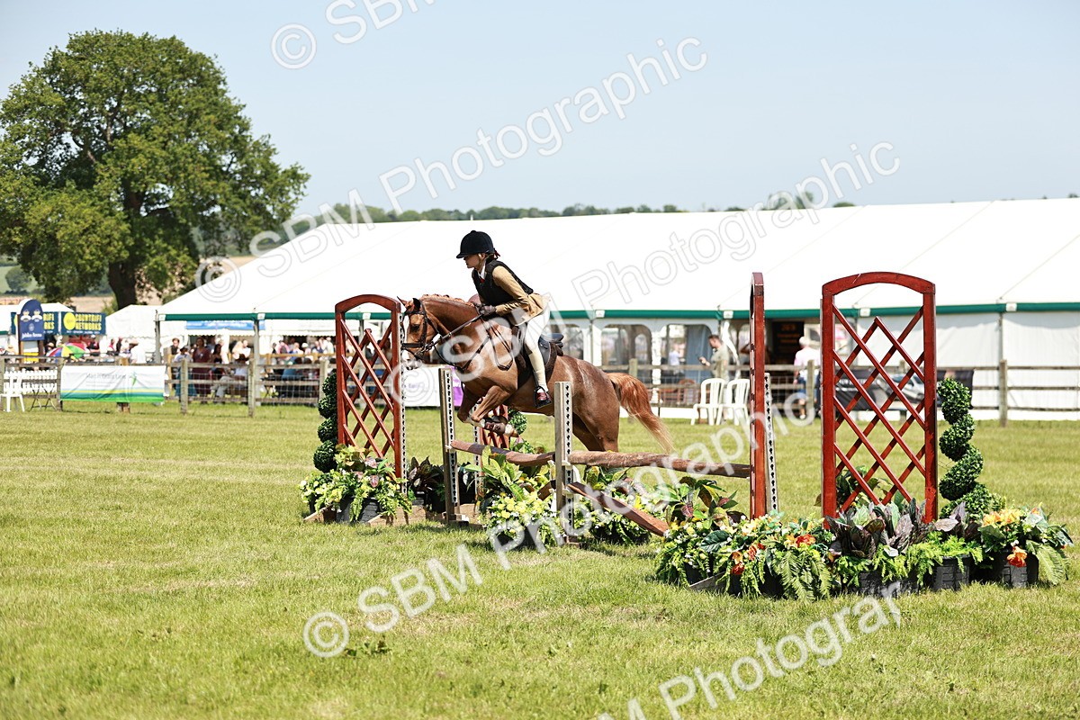 SBM_15637 - Class 108-109 - BSPS LIHS Open Gradle & Nursery Stakes