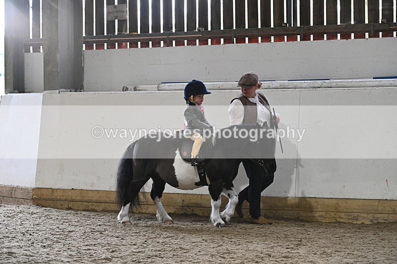 WJ7_4449 - Afternoon Champs