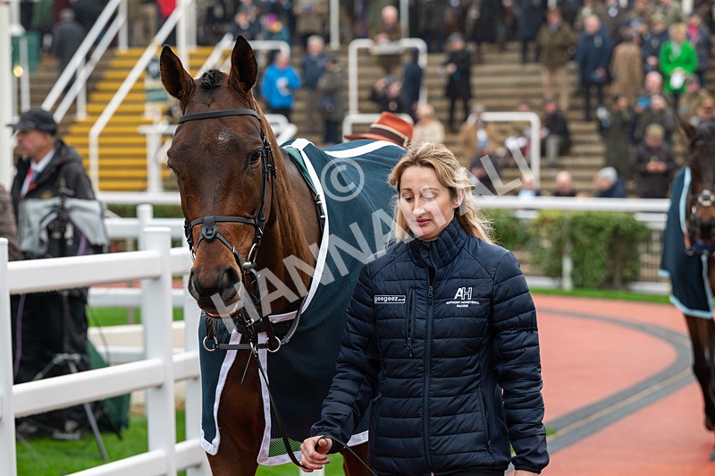 151125-Race 3-Breaking Cover-0838 - Race 3