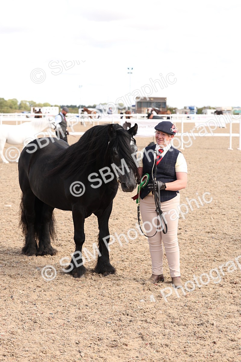 SBM_13995 - Class 205 - IH Show Pony - Show Hunter Pony