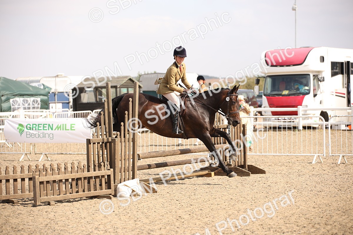 SBM_15059 - Class 408a - Working Veteran 70cm (15-19