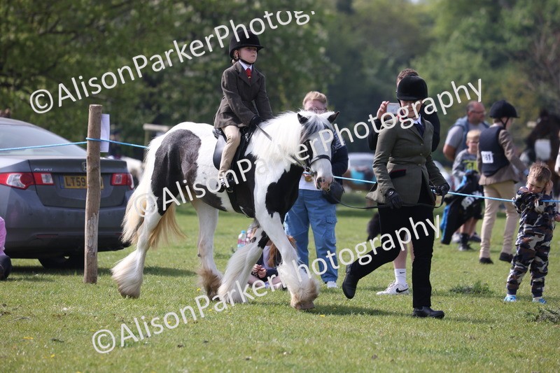 20260426-2552 - Class 31 - Leading Rein