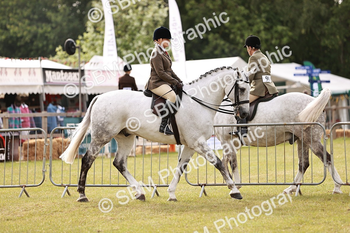 SBM_10848 - Class 81-84 - RIHS Ridden hunters Inc Ladies Hunter