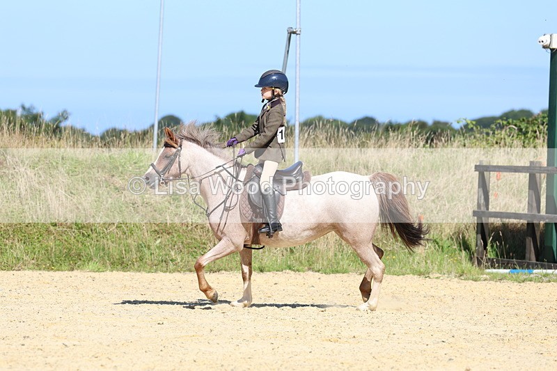 3E7A8201 - Class 16: First Ridden