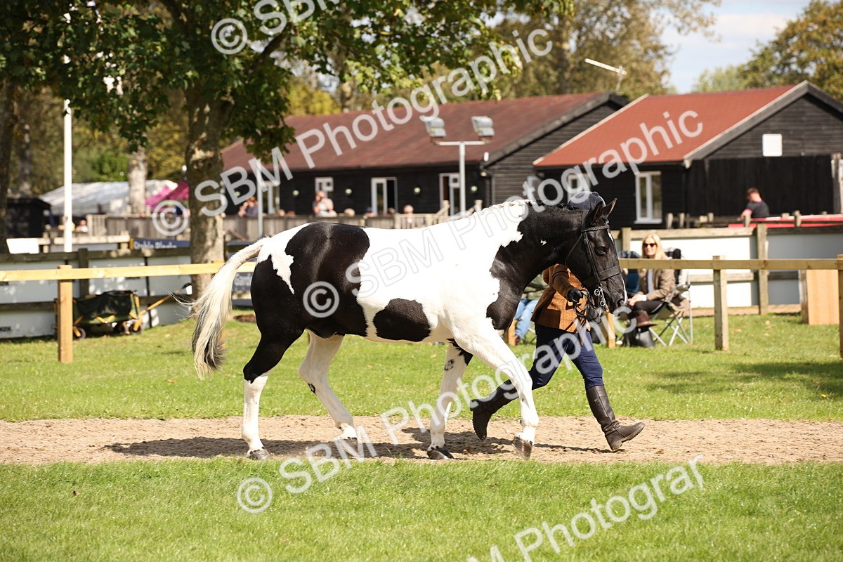SBM_44385 - S24 - Young Veteran in hand