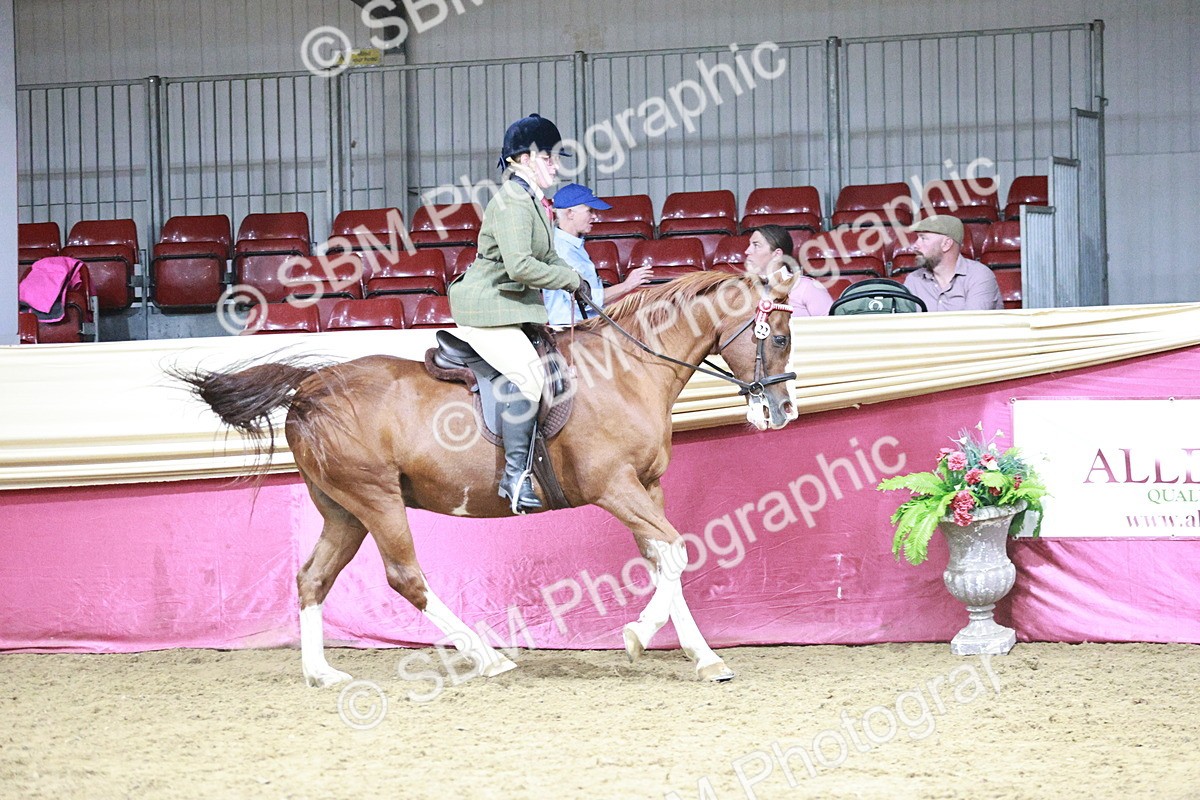 SBM_08026 - Class 11R - Regional Ridden Veteran