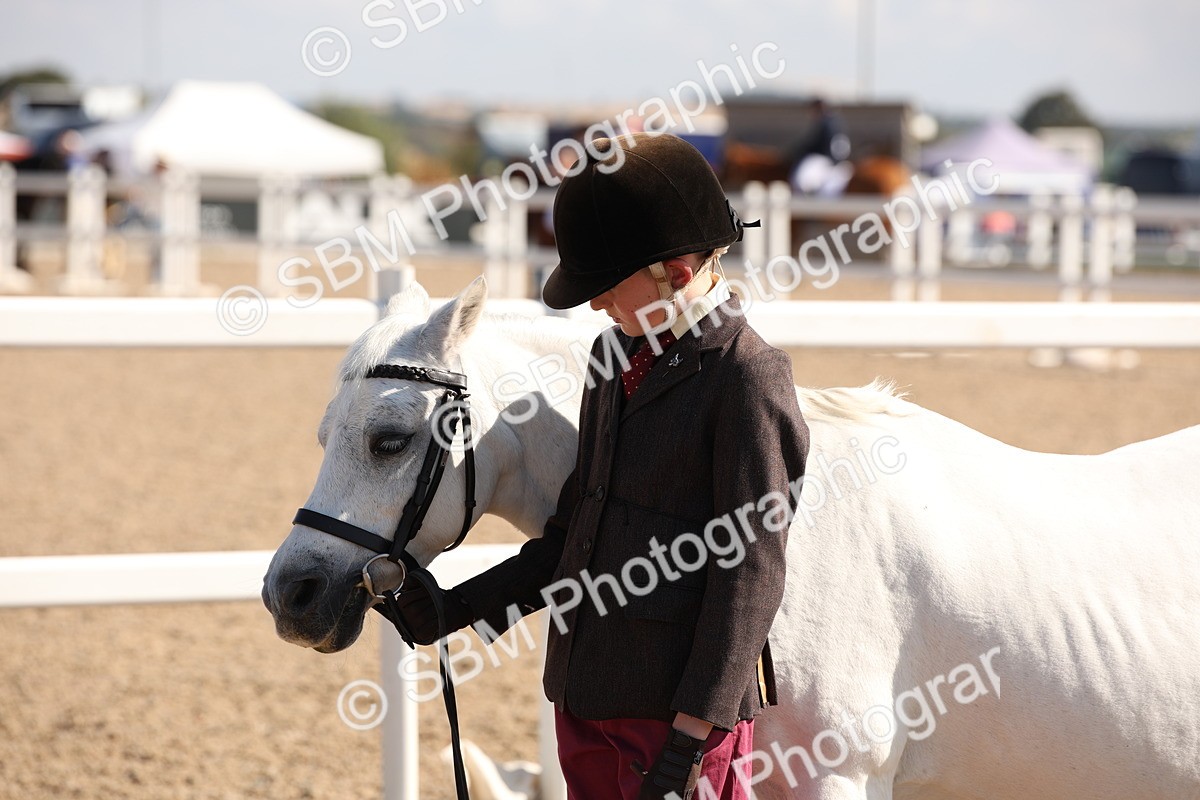 SBM_02777 - Class 16 IH M&M Wildcard