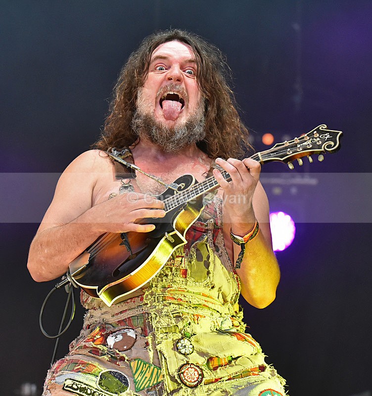 Hayseed Dixie - Cropredy 2016