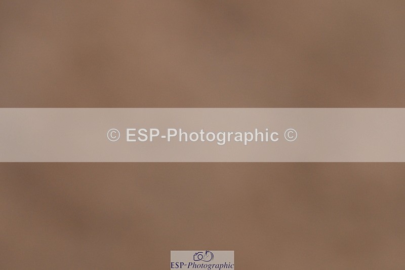 240121A-093202-00230 - Cls 2 Prelim 17A