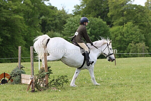 IMG_2515 - Working Hunter