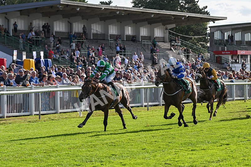 160824-Race 2-Dark Cloud Rising-8916 - Race 2