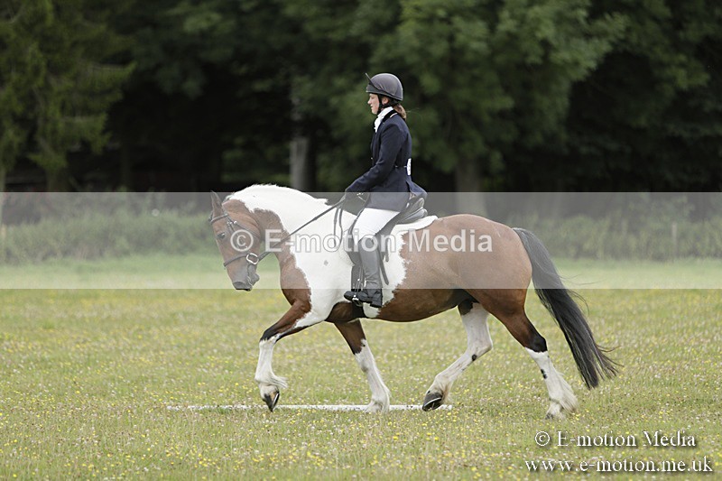 BVR160717-686 - Class 1 & 23a Dressage 16/07/17