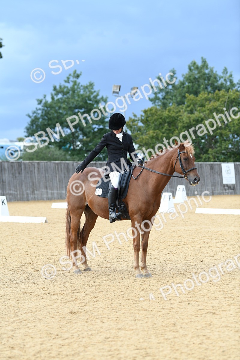 SBM_10944 - D28 Elementary Taster Elementary 42