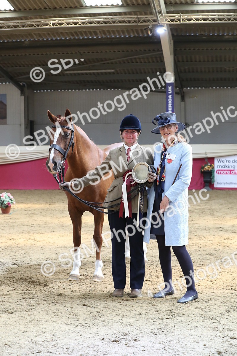 SBM_04460 - Class 7R Regional - IH Diamond