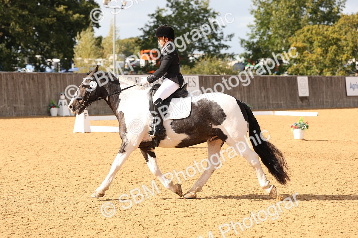 SBM_24686 - D17 - Grand Tour Championship Novice 3