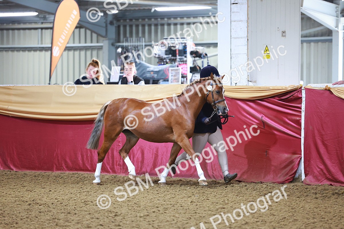 SBM_14668 - Class B - Junior Champ 11 to 16 Years