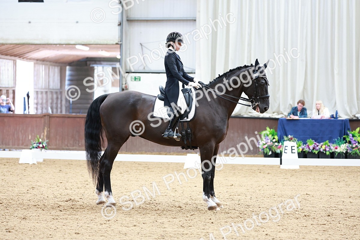 SBM_018120 - Class 15 - FEI Junior