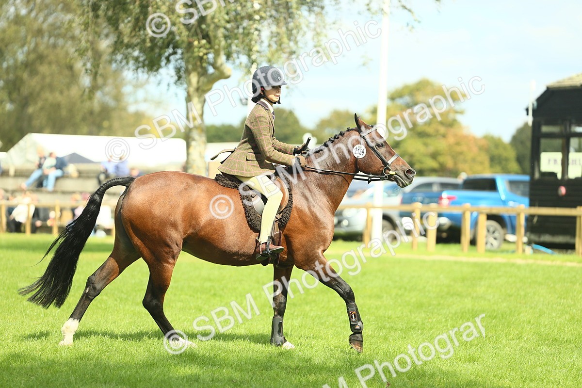 SBM_44579 - S31 - Working Hunter Pony