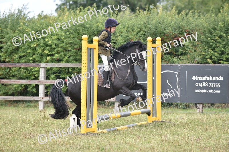 20250831-1829 - Class 8 - Hoof and Foot