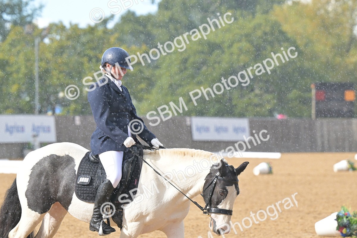 SBM_11192 - D3 - Small Tour Championship Intro 3