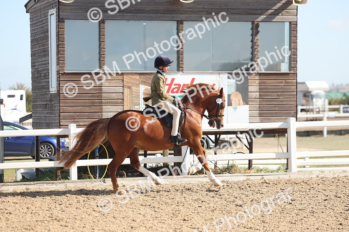 SBM_22605 - Class 804 - Ridden Veteran Pony