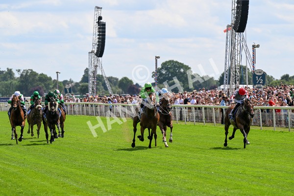 280625-Race 3-Squealer-0201 - Race 3 3.00pm Al Basti Equiworld Dubai Dash Handicap