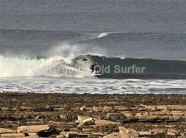 DSC_9209 - Thurso 6th November 2022