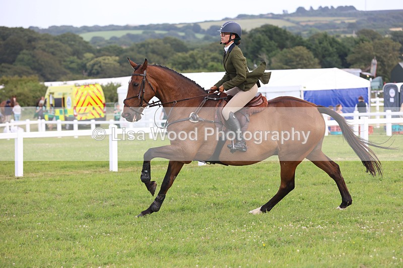 JPP_4353 - Class 26: Working Hunter 1m