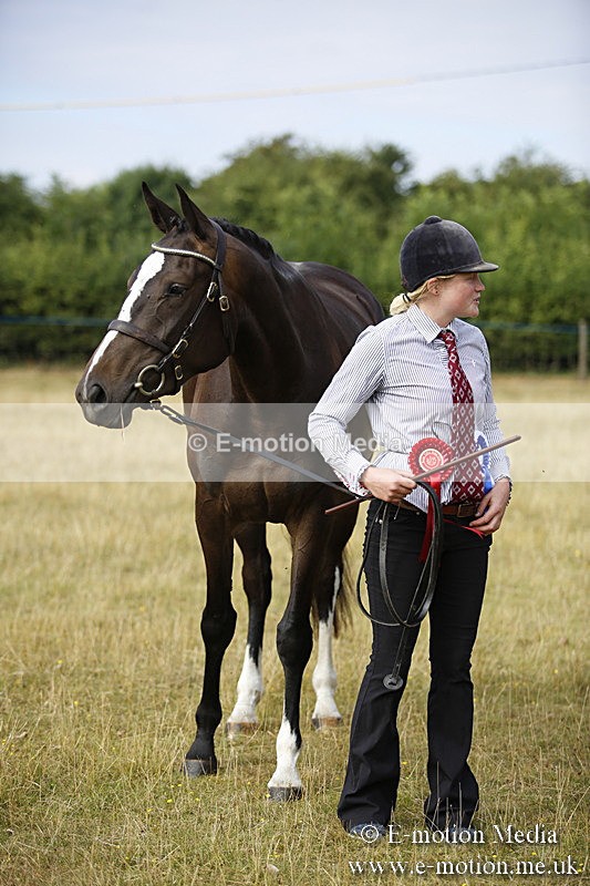 _C7A9152 - BVRC Sow 2018 Ring 2