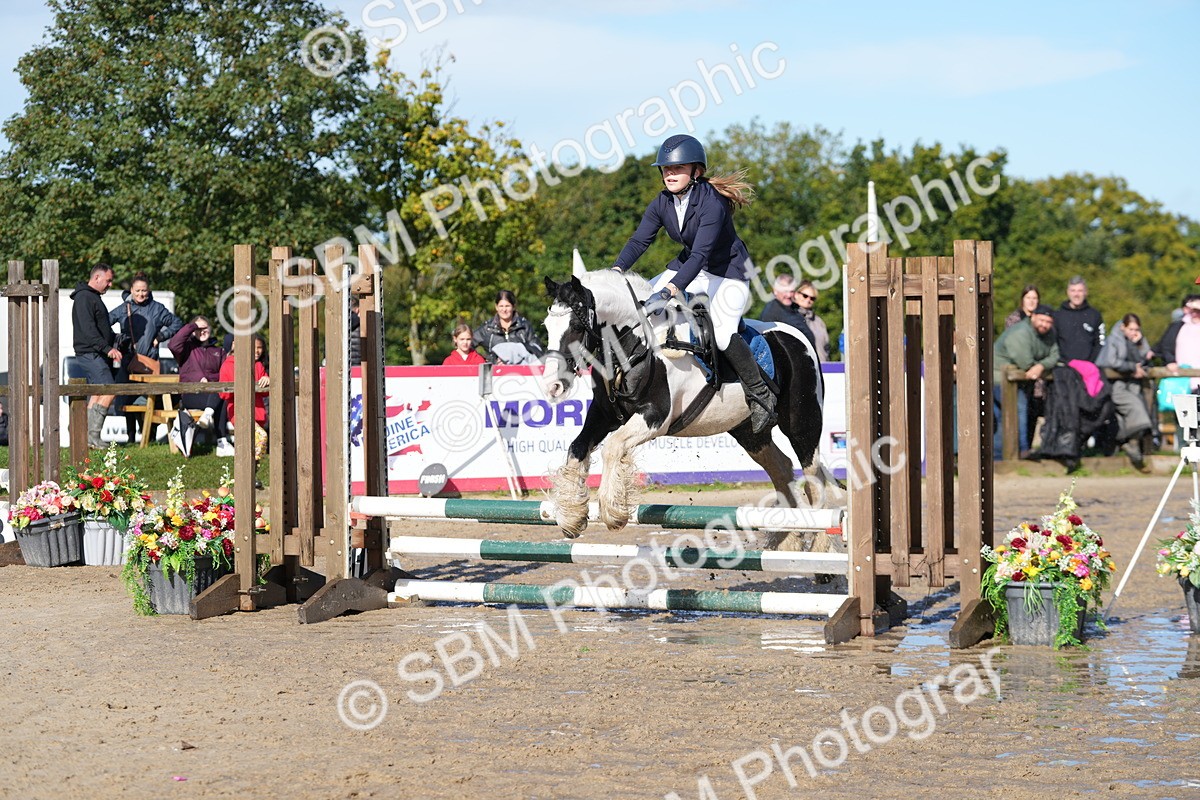 SBM_38194 - J6 - Junior Pony 55cm Championship