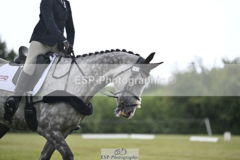 240824X-123024-26364 - D80 Section E and F 12.00 to 13.20