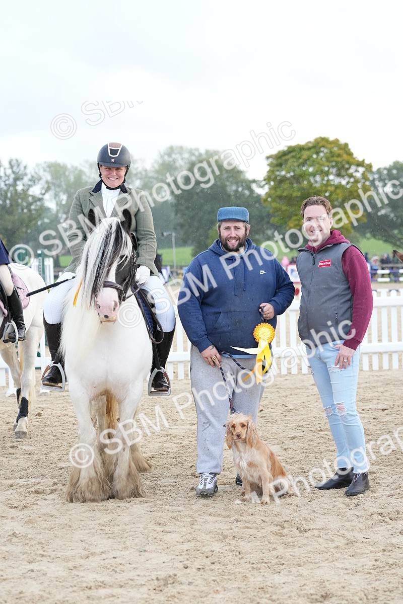 SBM_29217 - J43 - Horse & Hound Open 50cm