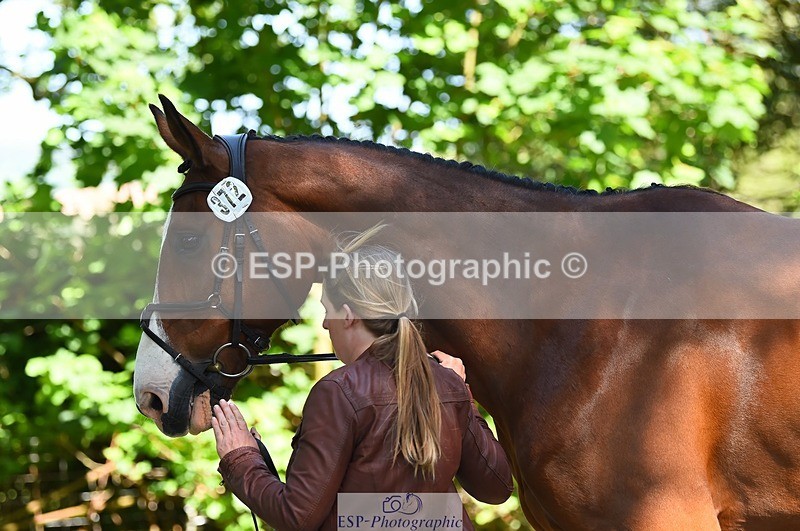 230524-154014-00429 - 372-INDYGO_BLUE-Jess_Butler-WEDTrotUp+DR