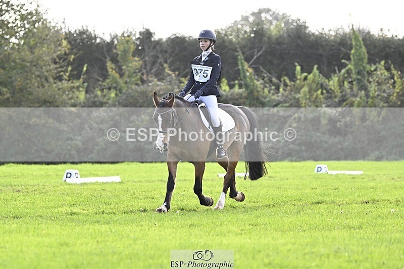 241025-121306-07043 - 375-Erin.Brown-50.SHADES.OF.BAY