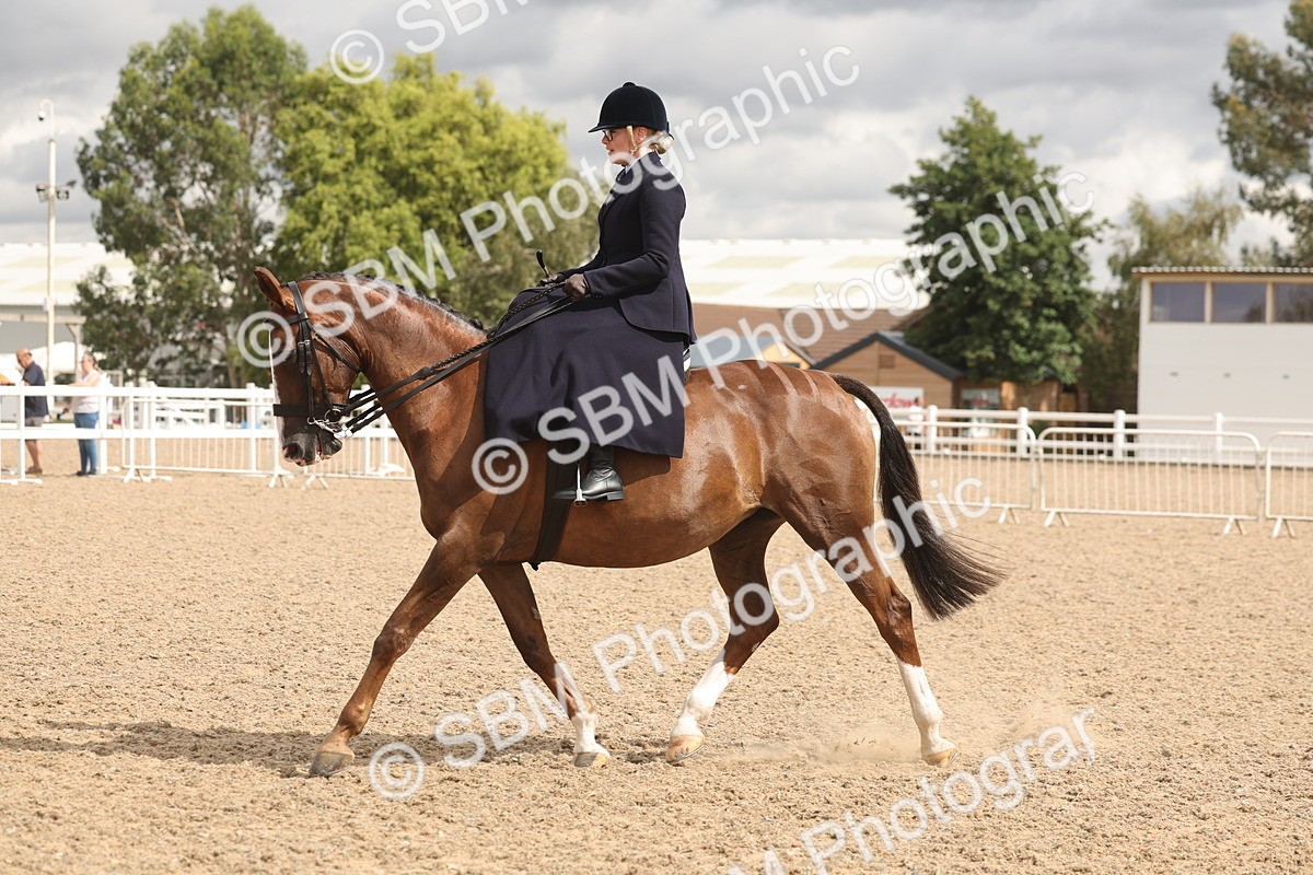 SBM_06355 - Class 22 - SSA - Equitation