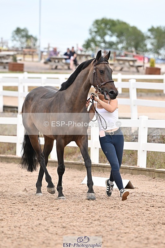 250716-161027-02486 - Trot Up 3.30 to 4.30