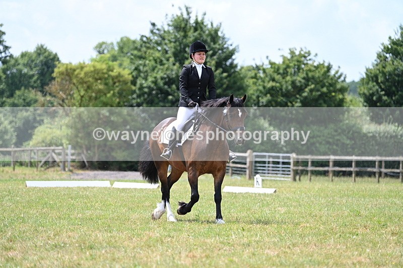 WJ7_5562 - Time 11:52 to 12:10