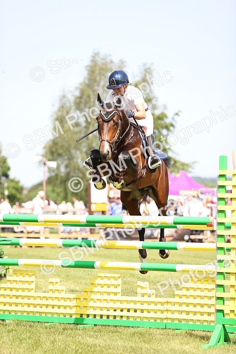 SBM_03945 - Class 201 - British Horse Feedds Speedi Beet HOYS Grade C