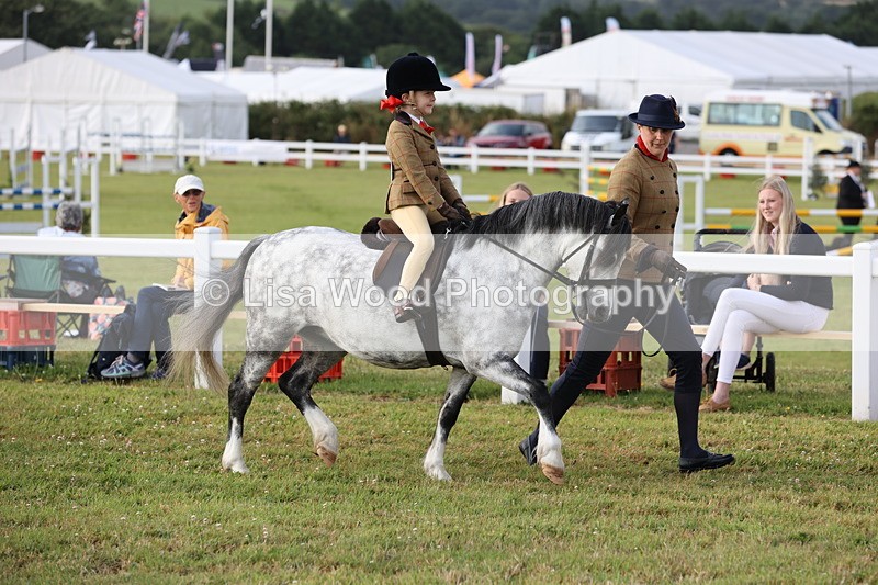 JPP_0304 - Class 14: Cornish Combination Leading Rein
