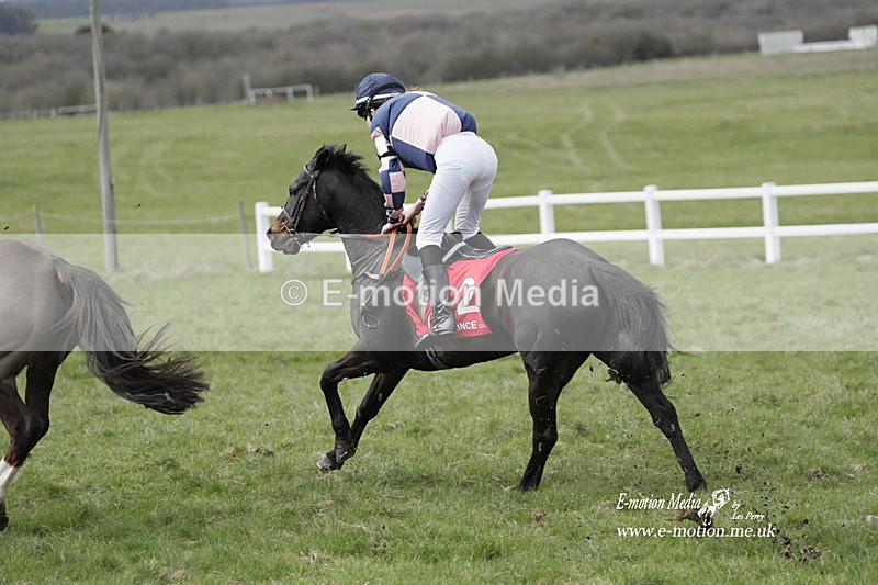 PtP 260323 1044 - New Forest Hounds Point-to-Point Larkhill 26/03/23