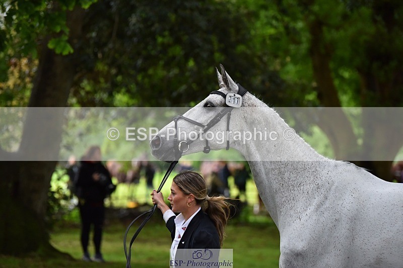 240522-164206-01097 - 217-MONBEG_WHISPER-Jemima_Howden