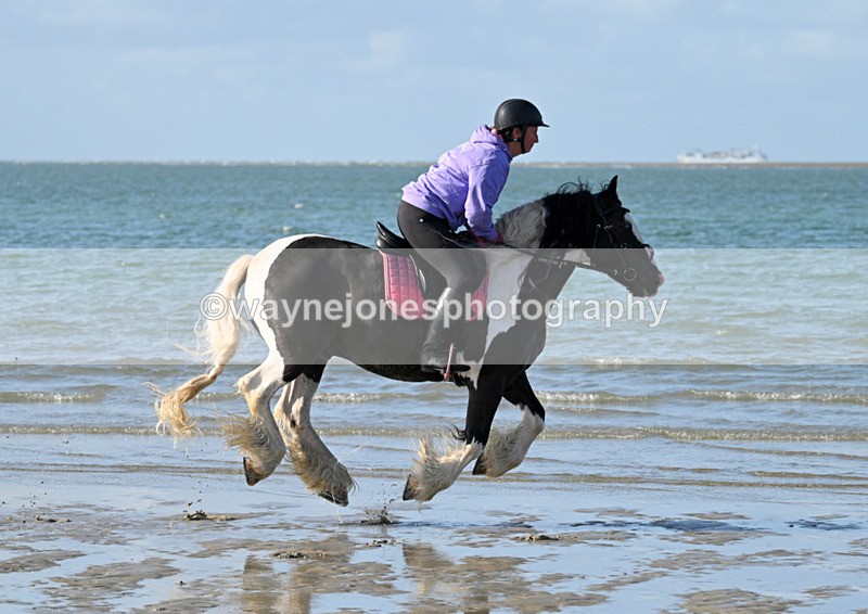 WJ7_3336 - Kellie & Churchill ... do Hayling Island 25-08-24