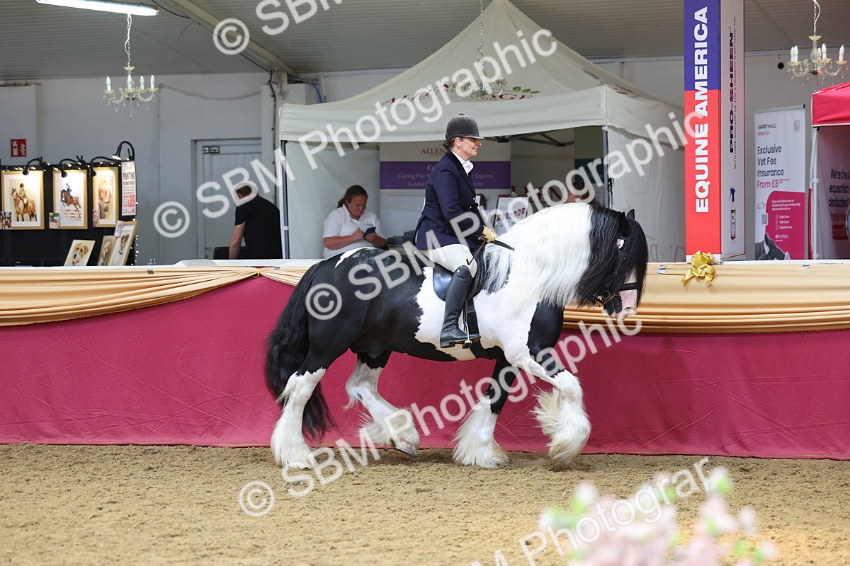 SBM_24021 - Class 905 - Supreme Final - Ridden Veteran