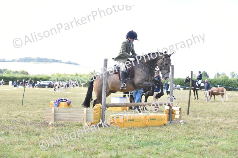 20250831-3971 - Class 12 - Working Hunter Pony 14.2hh and Under