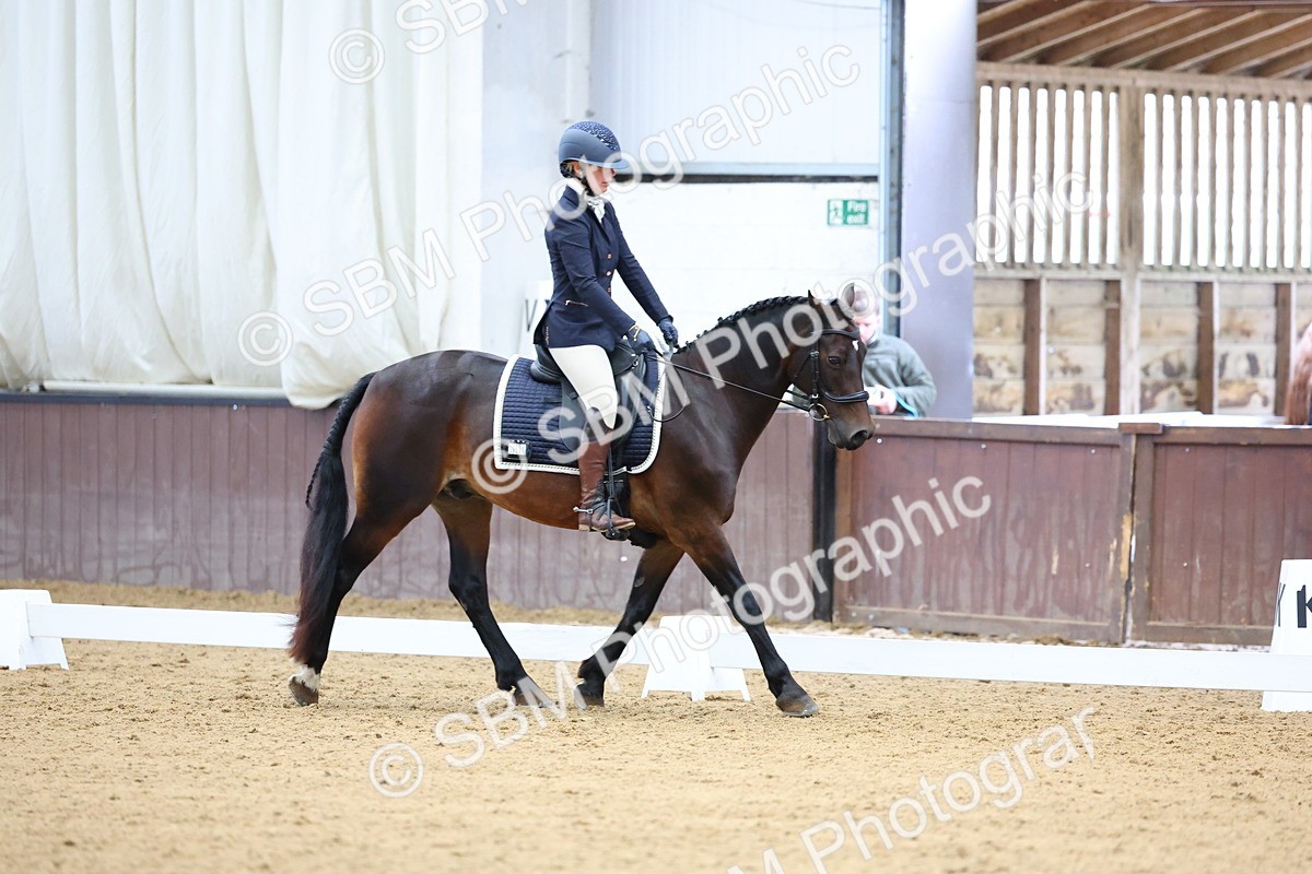 SBM_002329 - Novice 2