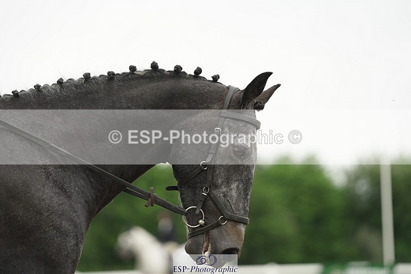 230708A-094302-00199 - Intro C